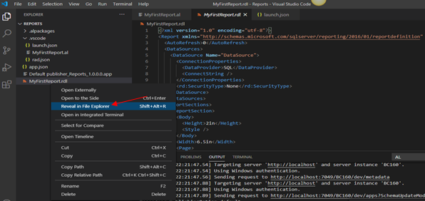 reveal in file explorer