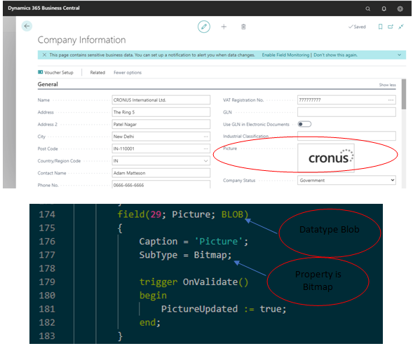 open the company information table in design mode and check the nature of the Picture field in business central